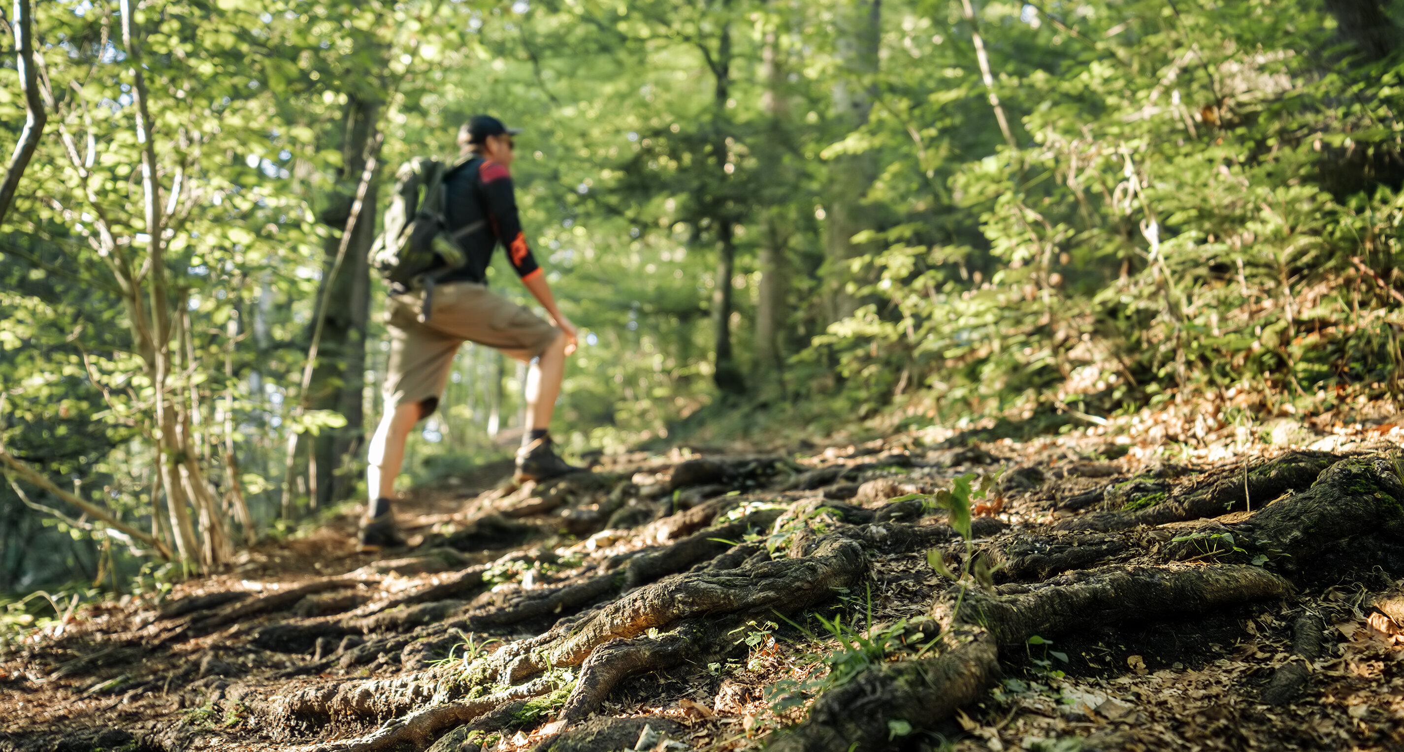 Wander, Bike und SkiTouren GosheimTourismus Gosheim Tourismus